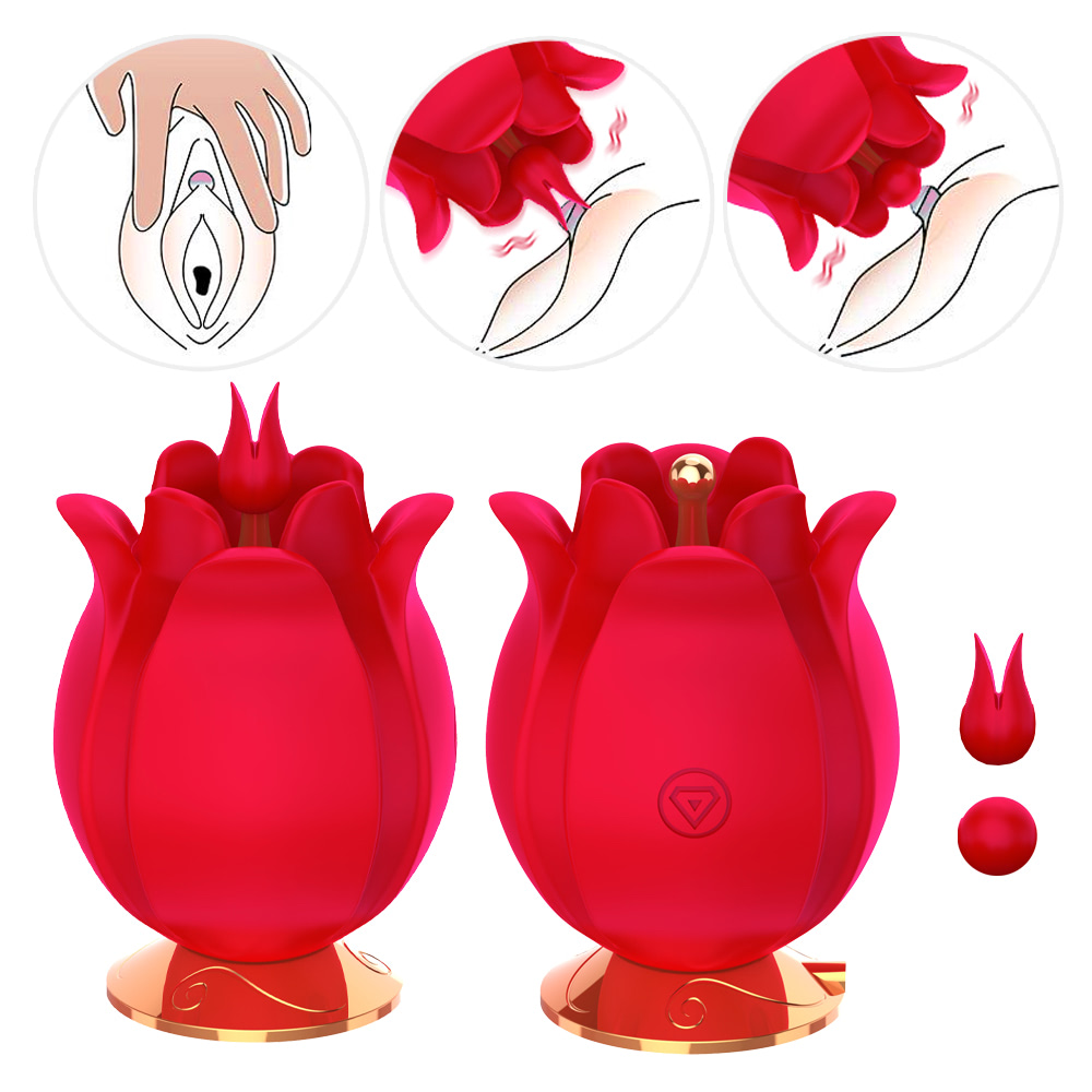 ESTIMULADOR DE CLITÓRES EM FORMATO DE FLOR COM 10 MODOS DE VIBRAÇÃO - IMPORTAÇÃO VB121