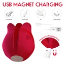 ESTIMULADOR DE CLITÓRES EM FORMATO DE FLOR COM 10 MODOS DE VIBRAÇÃO - IMPORTAÇÃO VB121