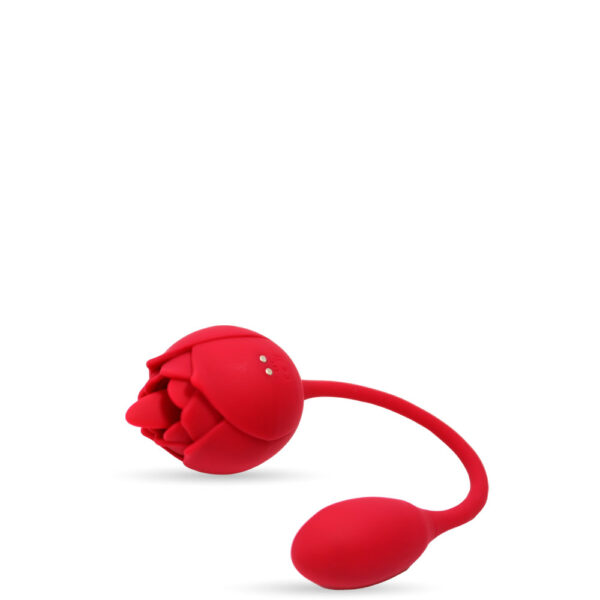 VIBRADOR DUPLO EM FORMATO DE FLOR COM LÍNGUA E PENETRADOR CONTOLADO VIA APLICATIVO - IMPORTAÇÃO RS043