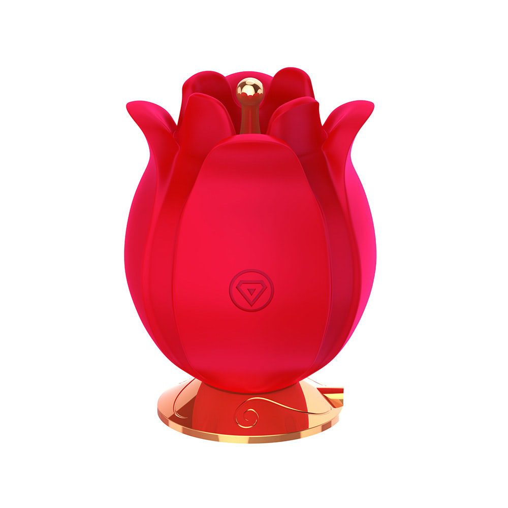 ESTIMULADOR DE CLITÓRES EM FORMATO DE FLOR COM 10 MODOS DE VIBRAÇÃO - IMPORTAÇÃO VB121